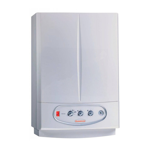 Immergas VICTRIX Zeus 26 1 I manual Immergas VICTRIX Zeus 26 1 I manual