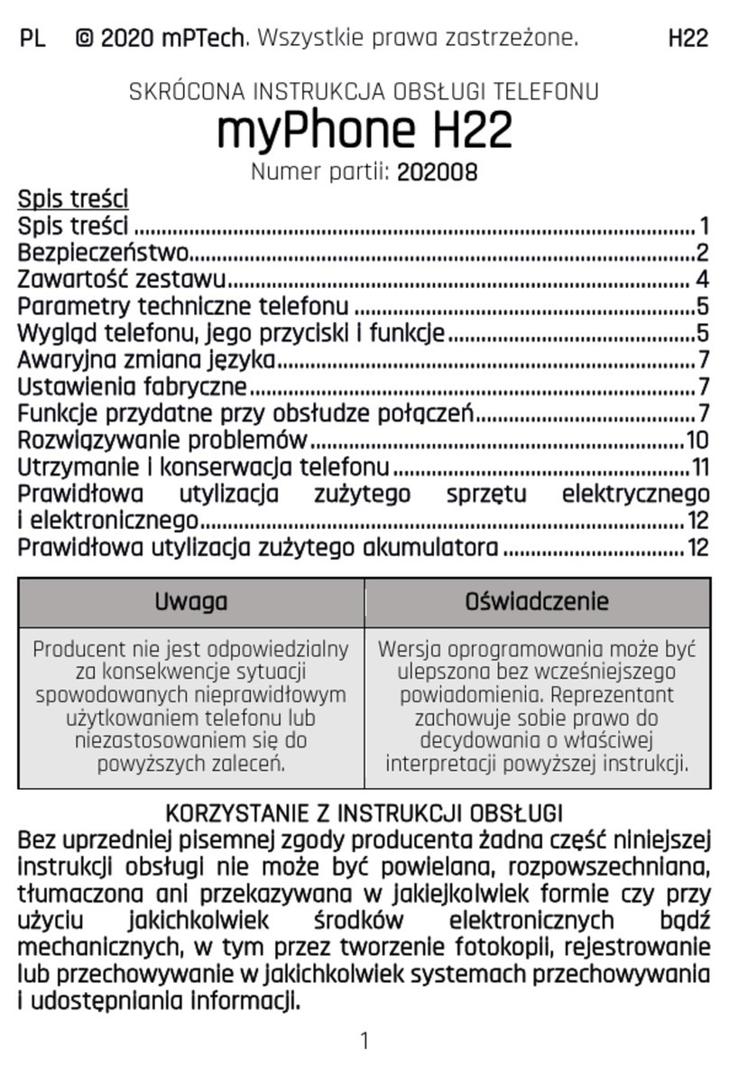 mPTech myPhone H22 User manual
