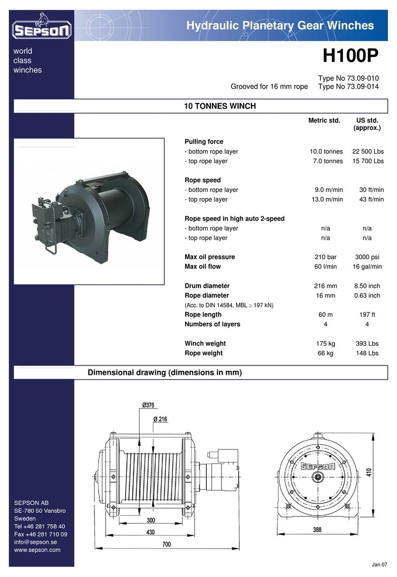 Sepson H100P User manual