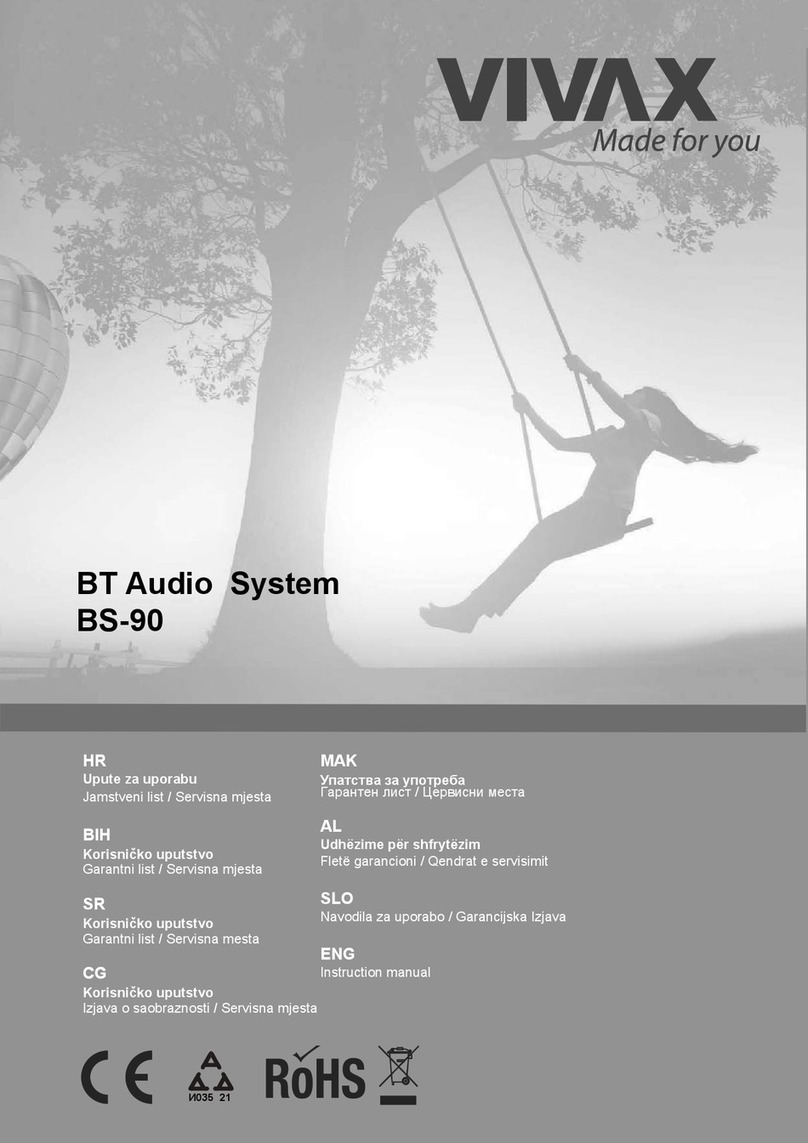Vivax BT Audio System instruction manual