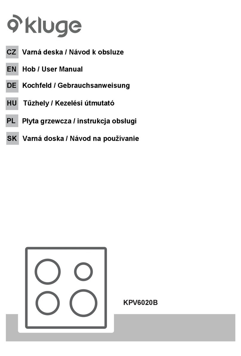 KLUGE KPV6020B user manual