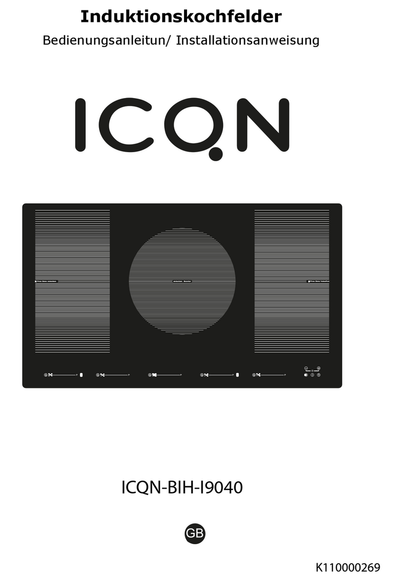 ICQN BIH-I9040 instruction manual
