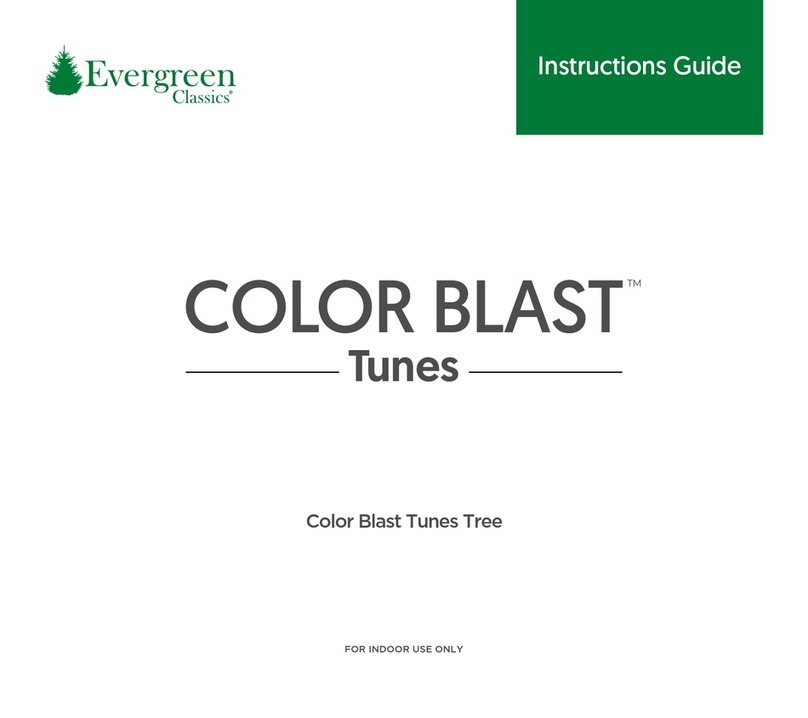 Evergreen Color Blast Tunes Tree Instruction guide Evergreen Color Blast Tunes Tree Instruction guide