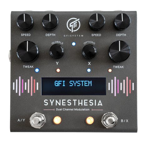 GFI System SYNESTHESIA quick start guide