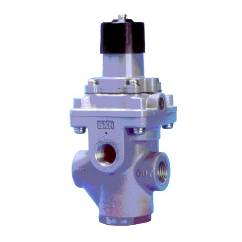 Baker Hughes Masoneilan 78-80H User manual