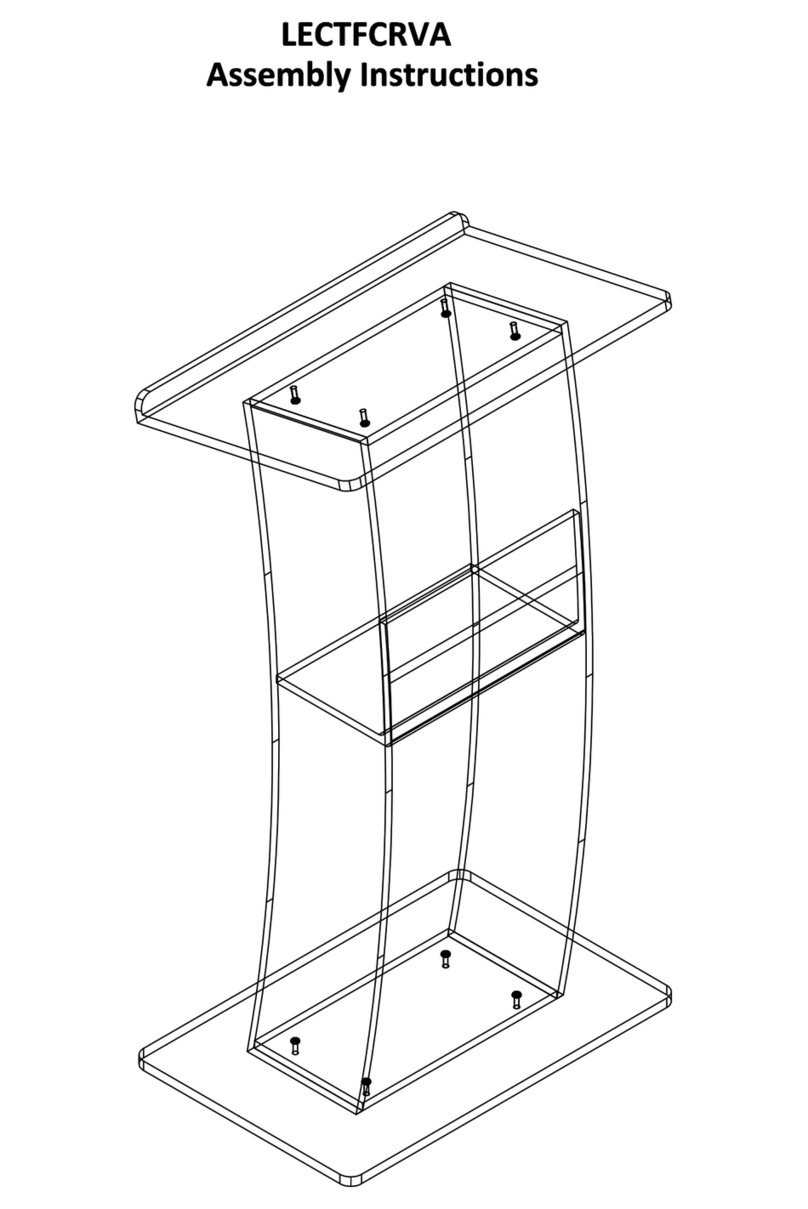 Displays2go LECTFCRVA User manual