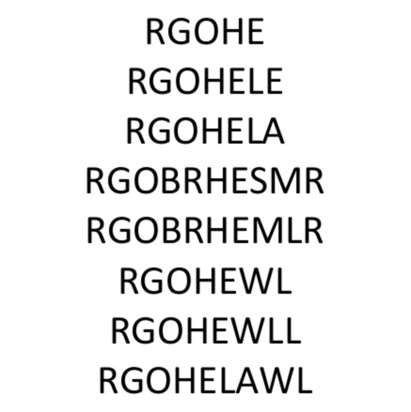 R-Go HE RGOHE User manual