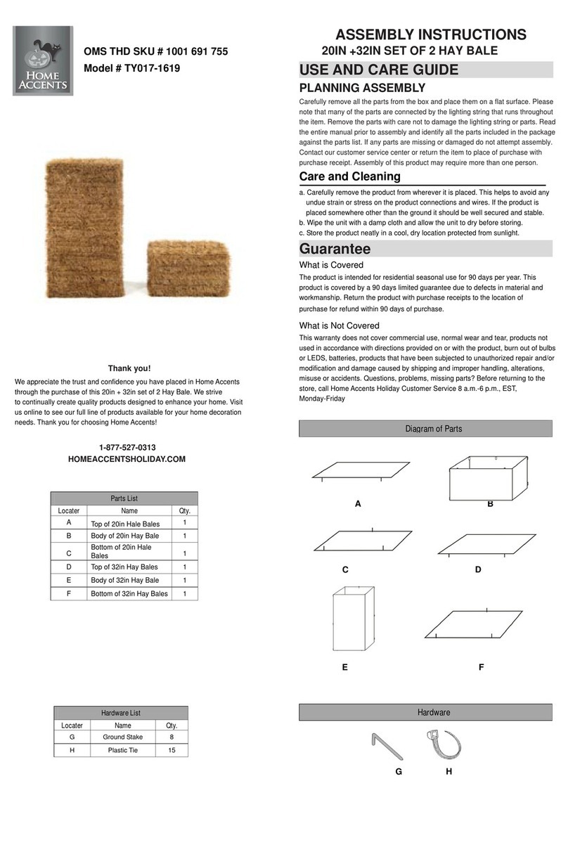 Home Accents TY017-1619 Assembly instructions