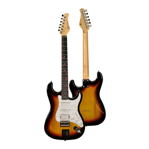 Fretlight FG-200D User manual