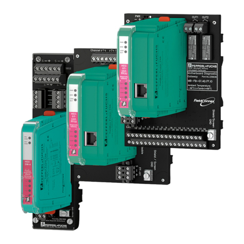 Pepperl+Fuchs HD2-DM-A User manual