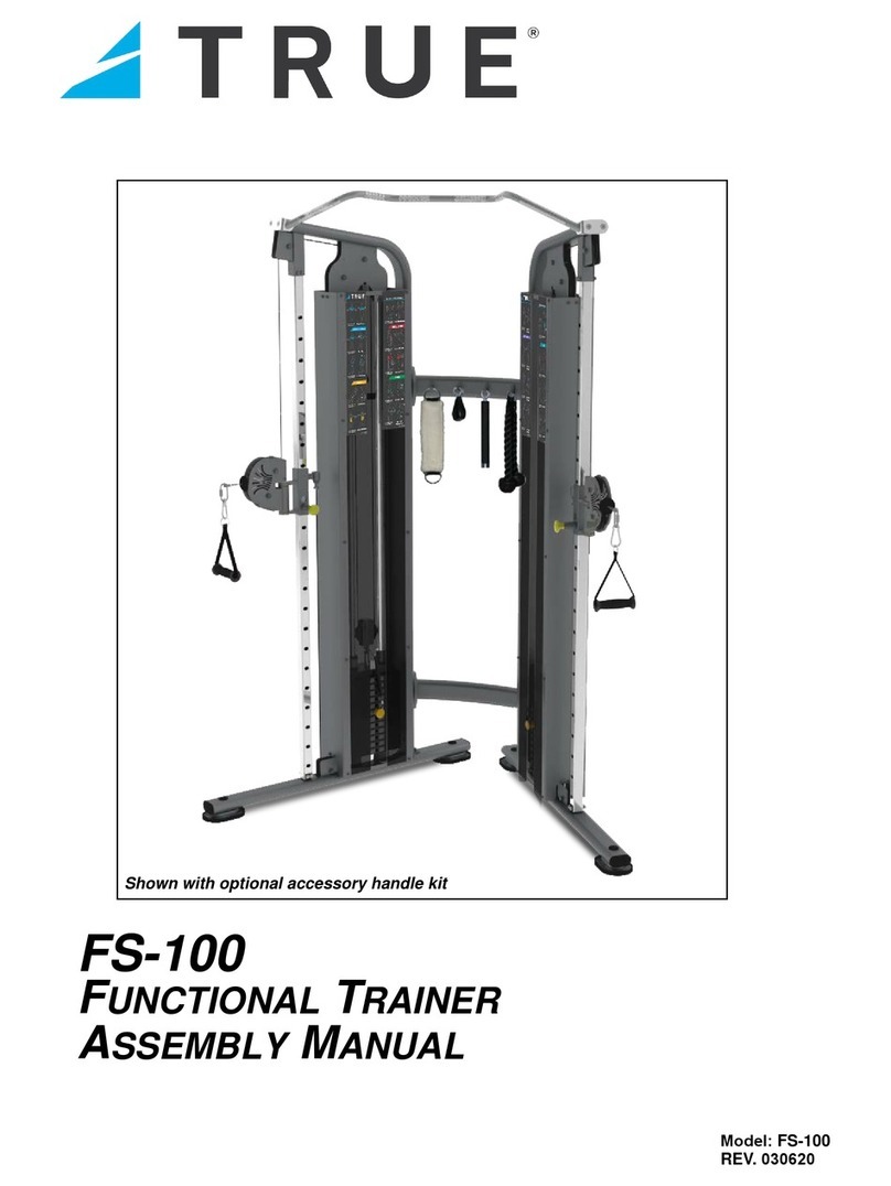 True FS-100 User manual