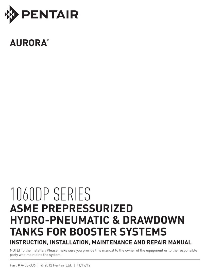 Pentair AURORA 1060DP Series INSTRUCTION, INSTALLATION, MAINTENANCE AND REPAIR MANUAL