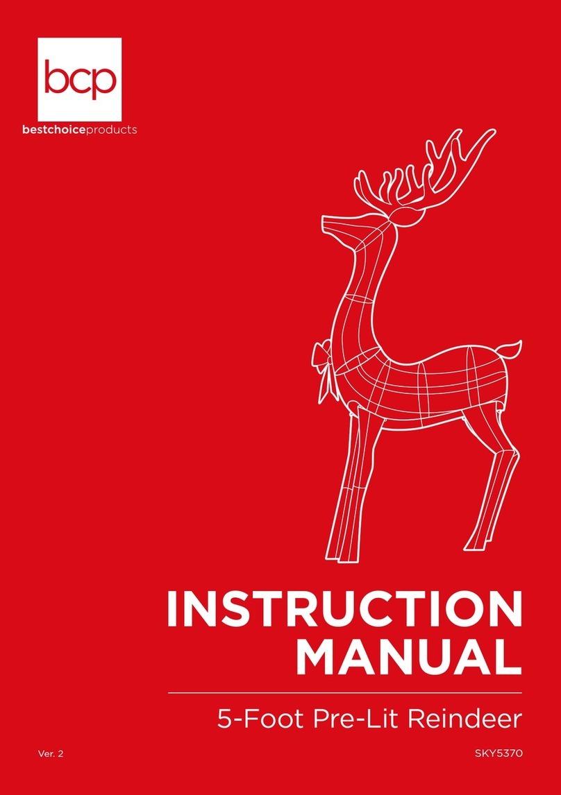 BCP SKY5370 instruction manual