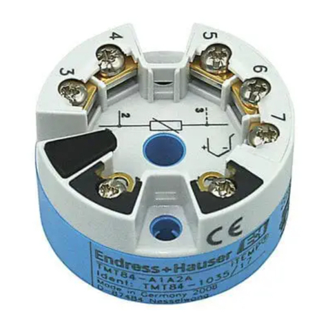Endress+Hauser iTEMP TMT84 Technical specifications
