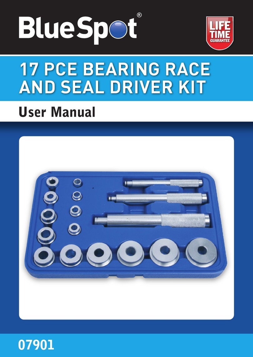 BlueSpot 07901 user manual