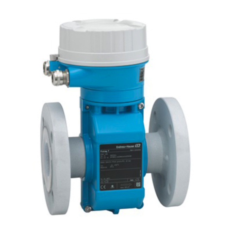 Endress+Hauser Proline Promag P 100 User manual