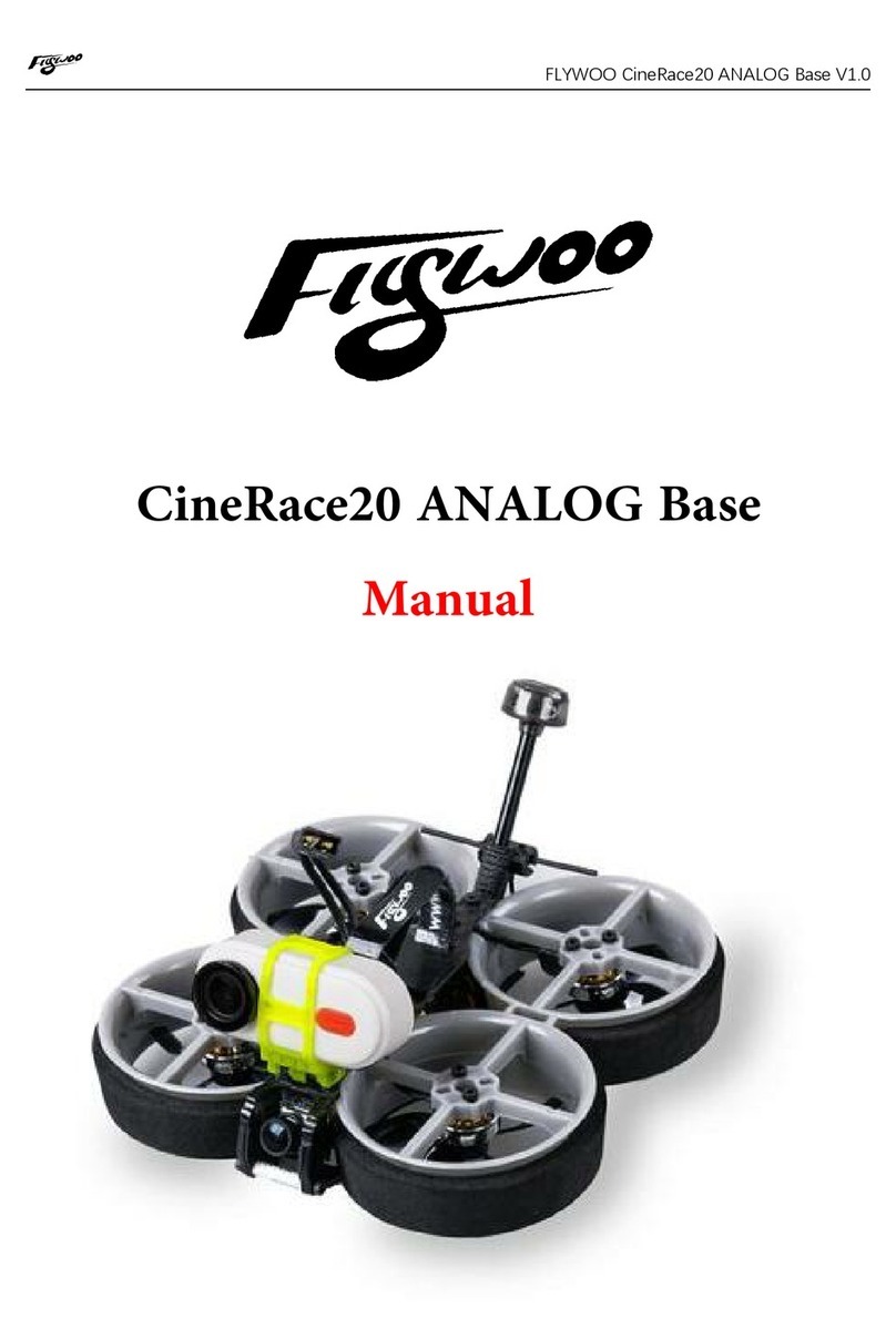 FlyWood CineRace20 ANALOG manual