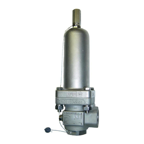 Flow Safe F88 Series Installation, operation & maintenance manual