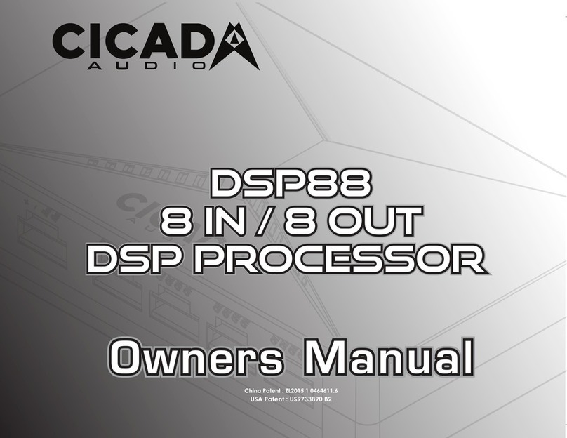 Cicada Audio DSP88 User manual