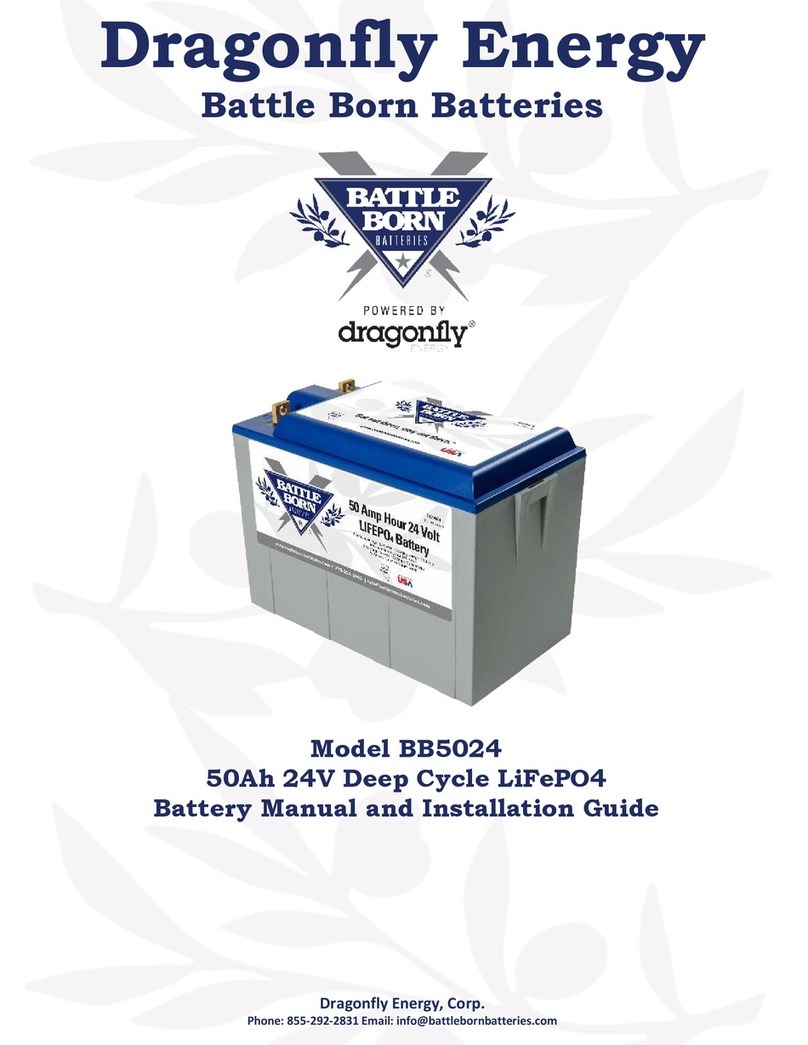 Dragonfly Energy BB5024 User manual