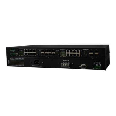 Lantech IPGS-5400-2P User manual