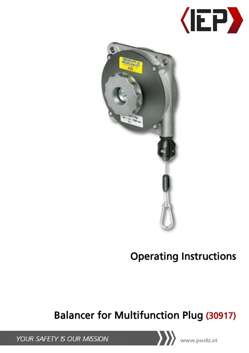 IEP 30917 User manual