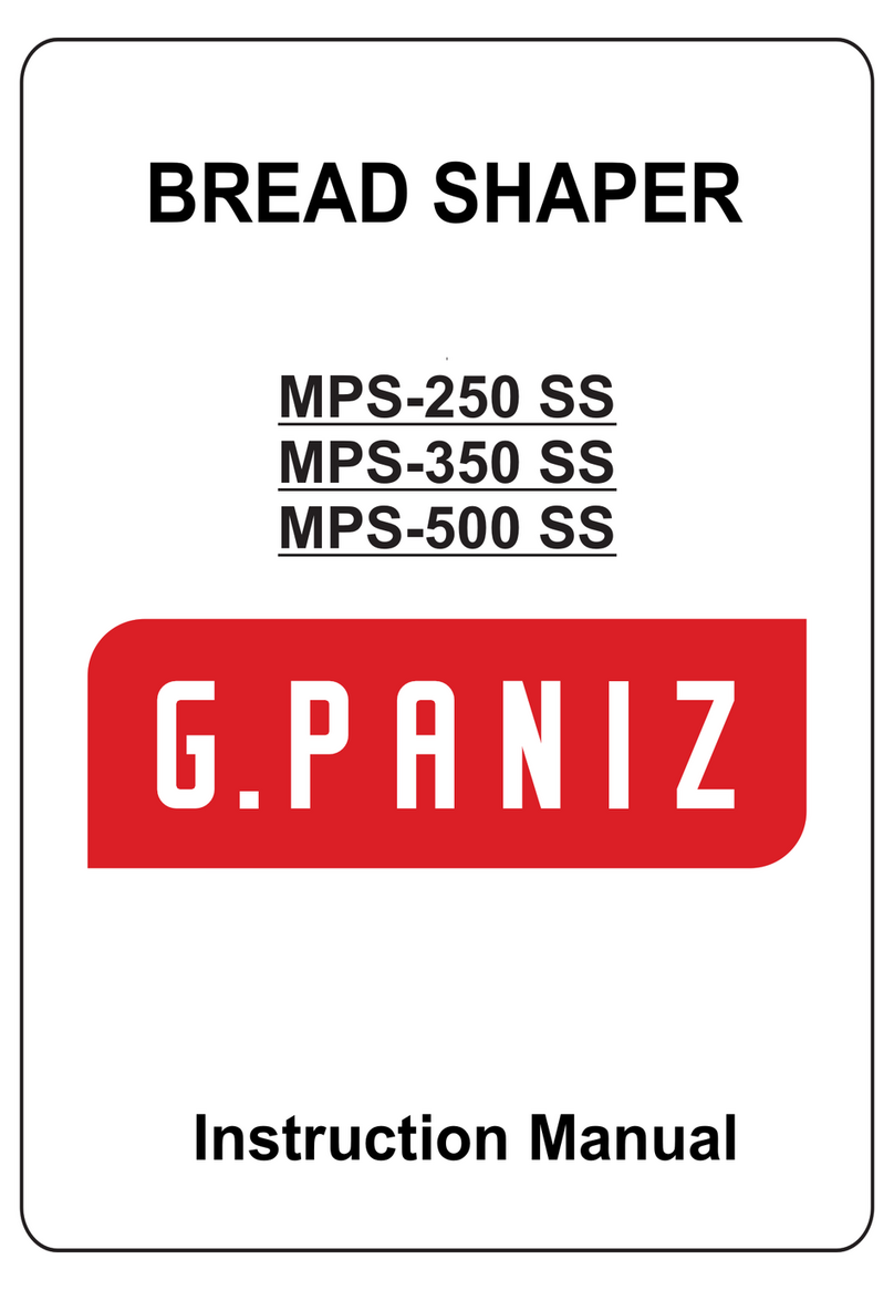 G. Paniz MPS-250 SS instruction manual G. Paniz MPS-250 SS instruction manual