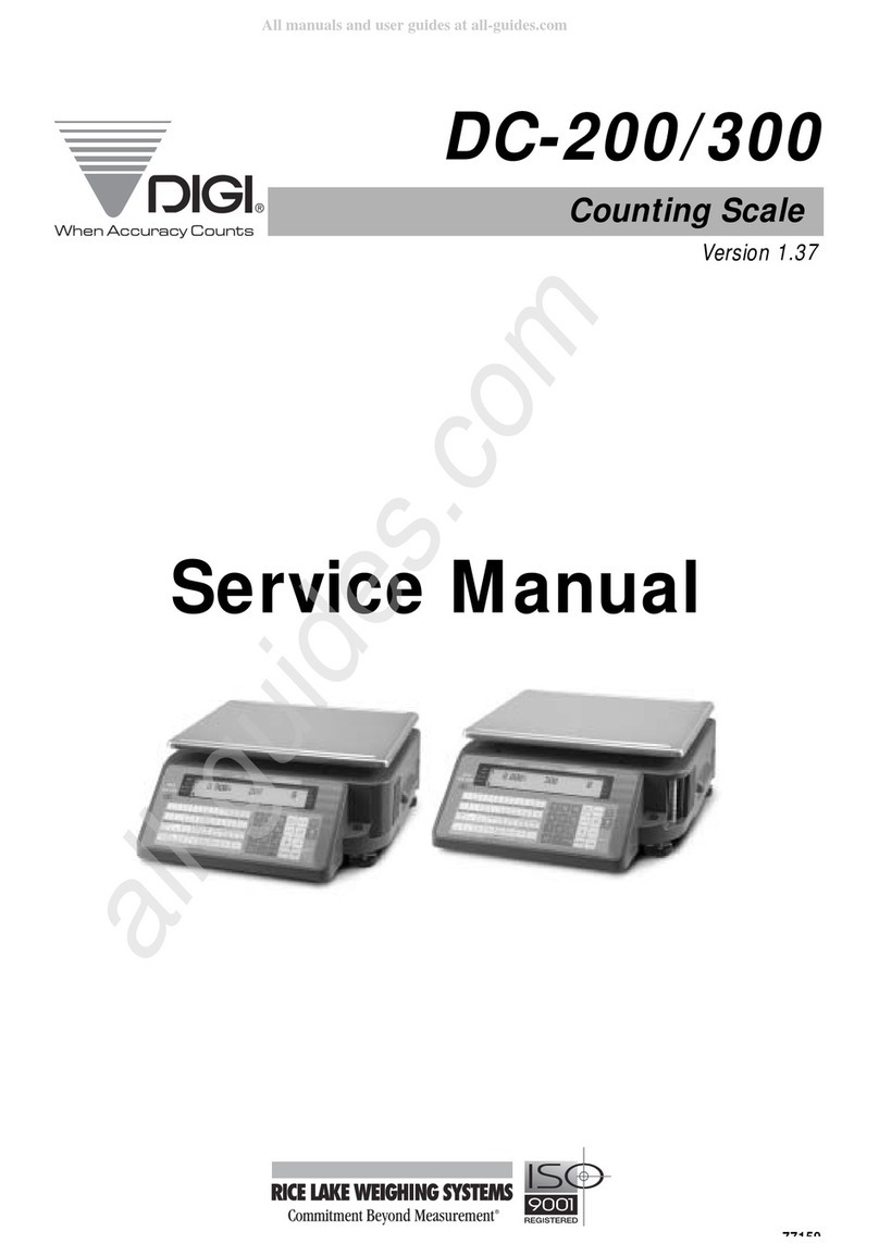 Rice Lake DIGI DC-200 Service manual