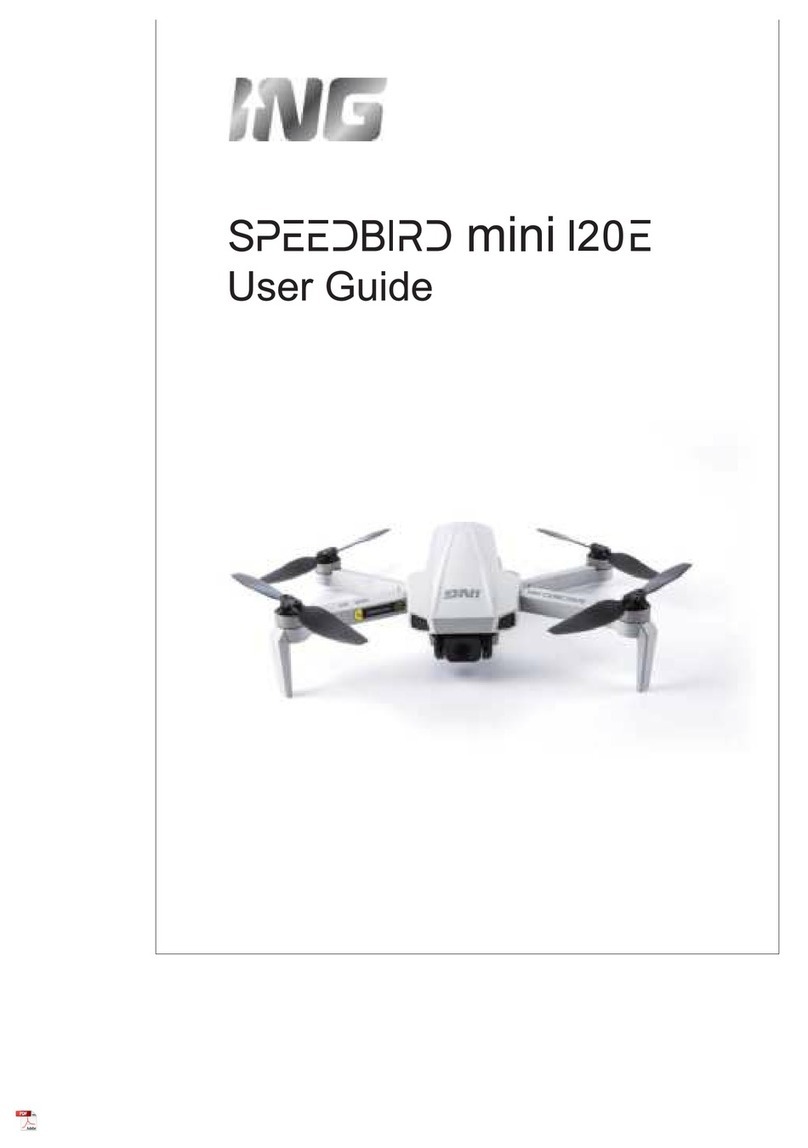 ING SPEEDBIRD mini I20E user guide