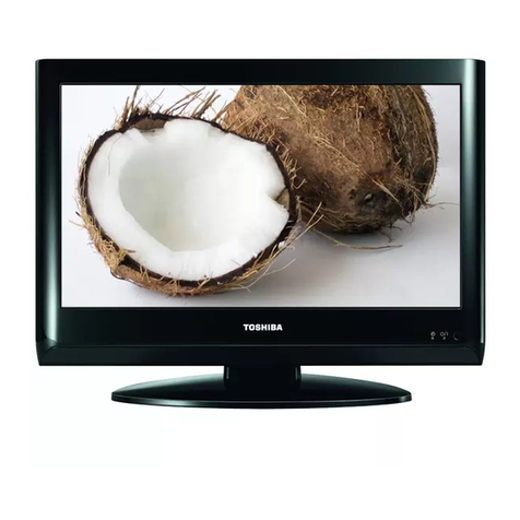 Toshiba 19AV606PG User manual