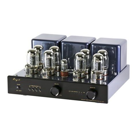 Cayin CS-100A User manual