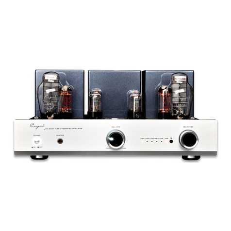 Cayin CS-300A User manual