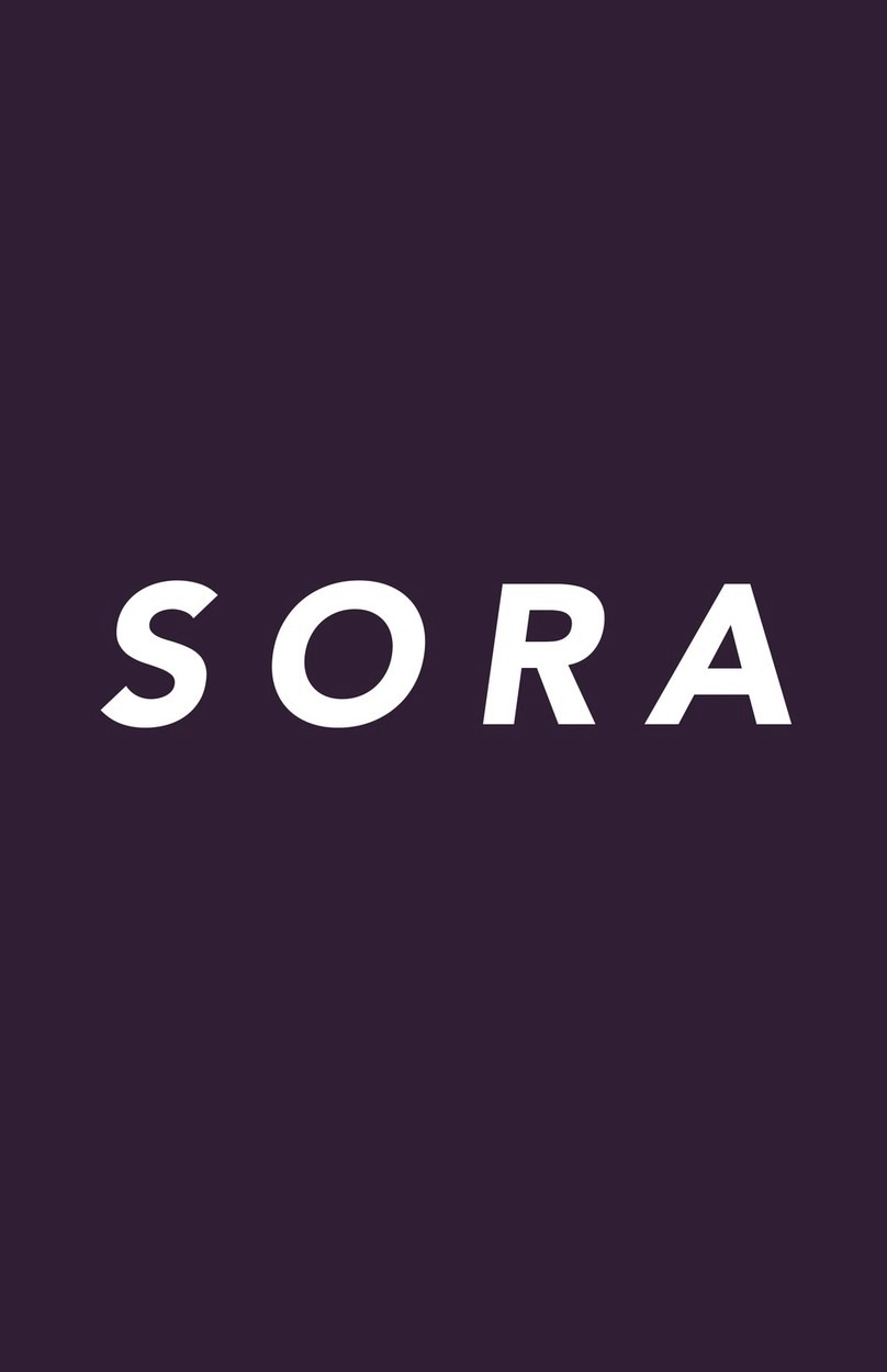 FANCII SORA User manual