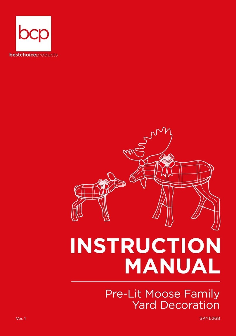BCP SKY6268 instruction manual
