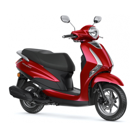 Yamaha D'elight User manual