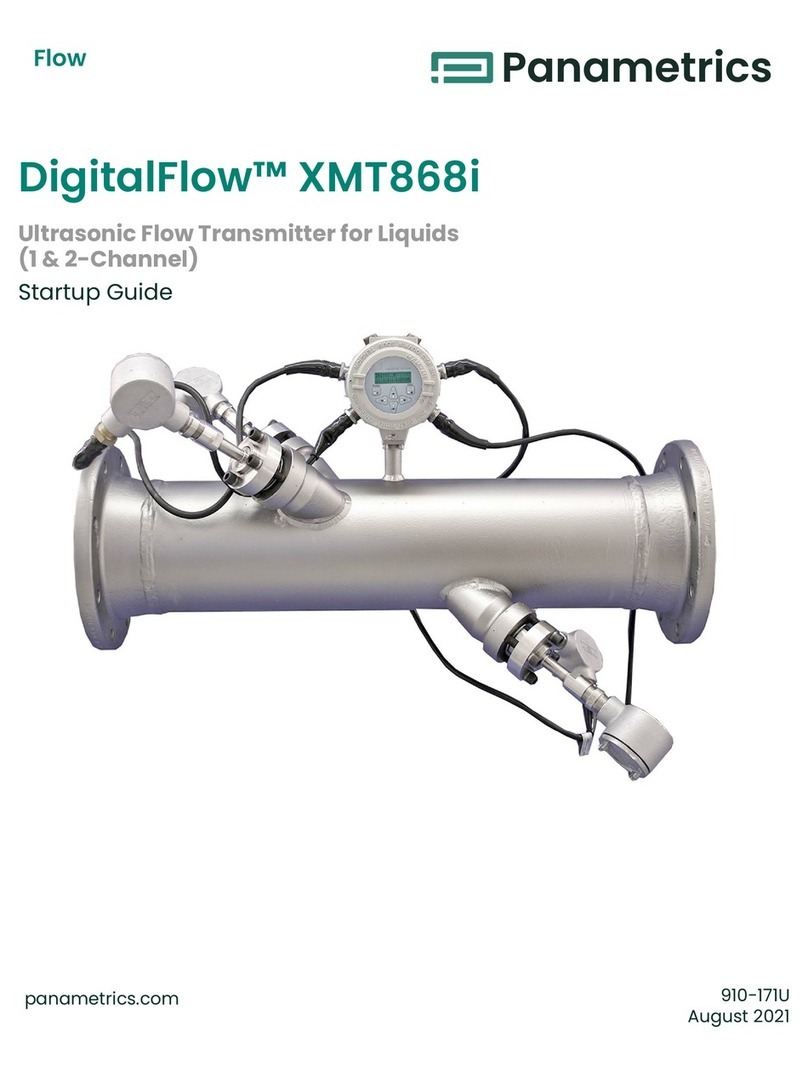 Panametrics DigitalFlow XMT868i Startup guide