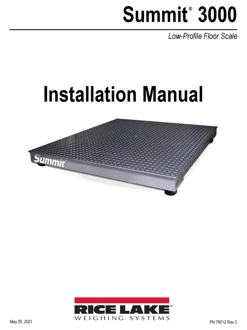 Rice Lake Summit 3000 User manual Rice Lake Summit 3000 User manual