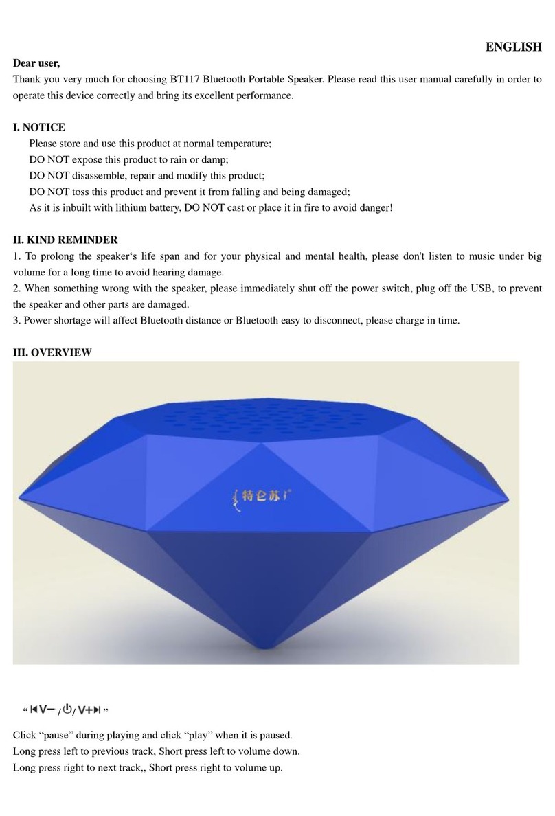 Dongguan Taide Industrial Co. BT117 user manual