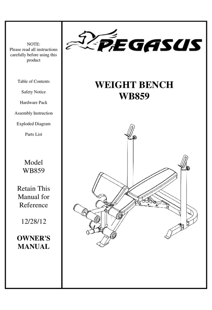 Pegasus WB859 User manual