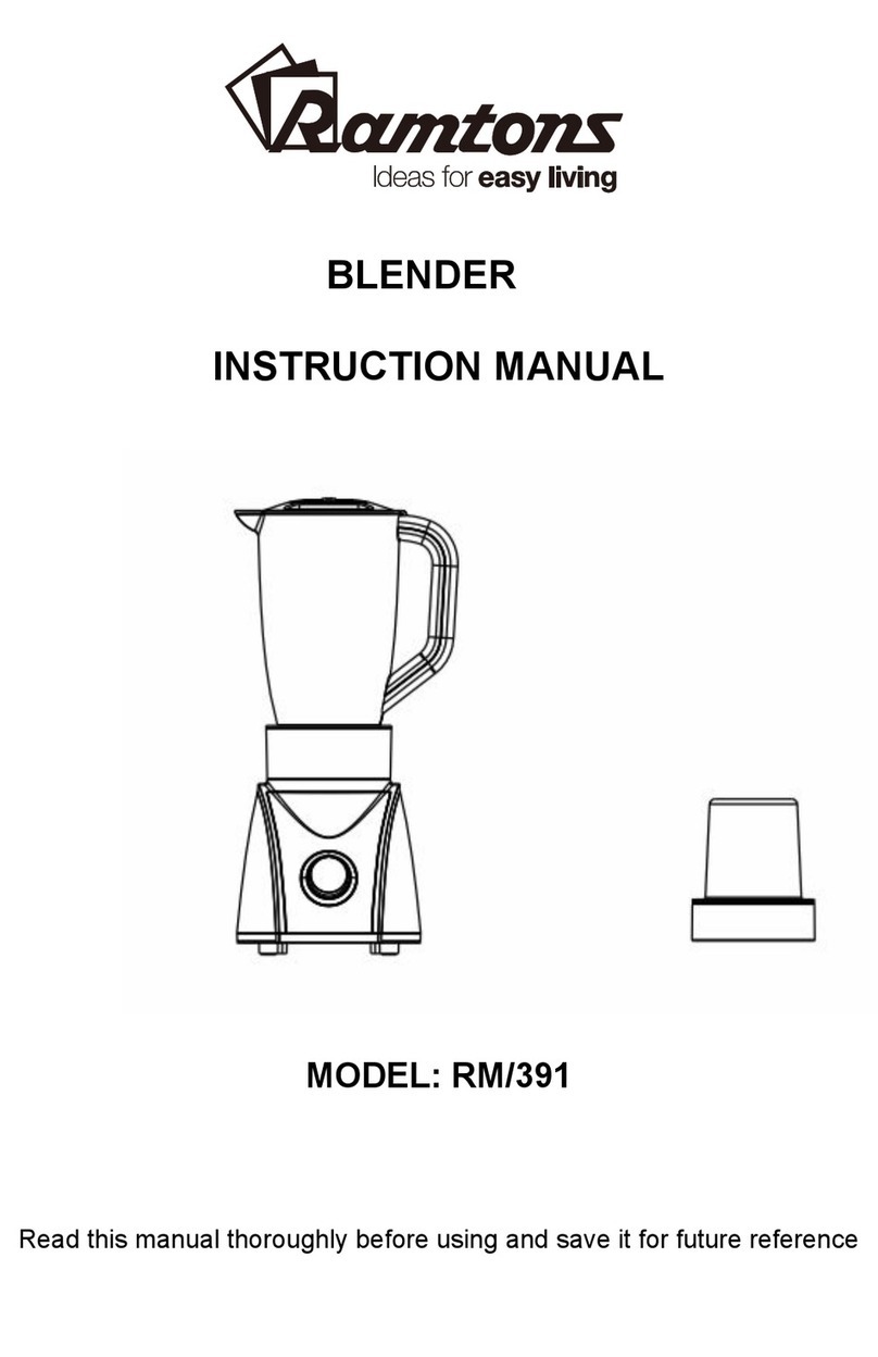 RAMTONS RM/391 instruction manual
