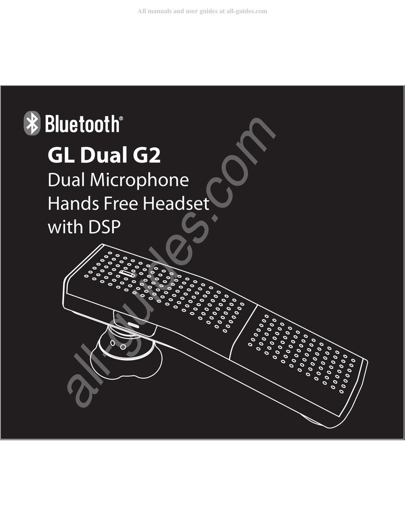 Goldlantern Dual G2 manual