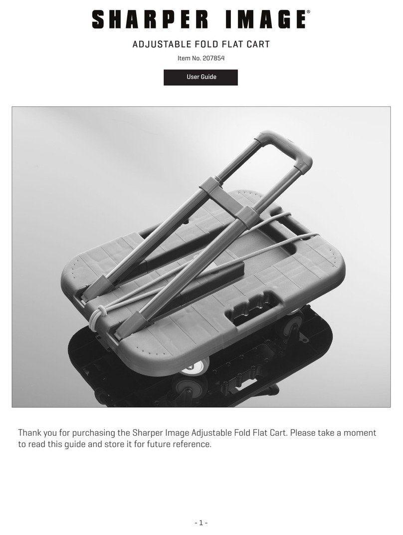 Sharper Image 207854 user guide Sharper Image 207854 user guide