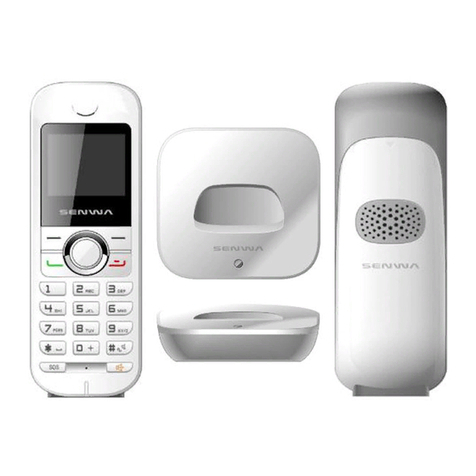 Senwa S100-FX User manual