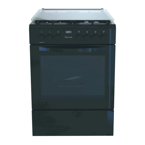 Defy FLAMEMASTER DGS606 User manual