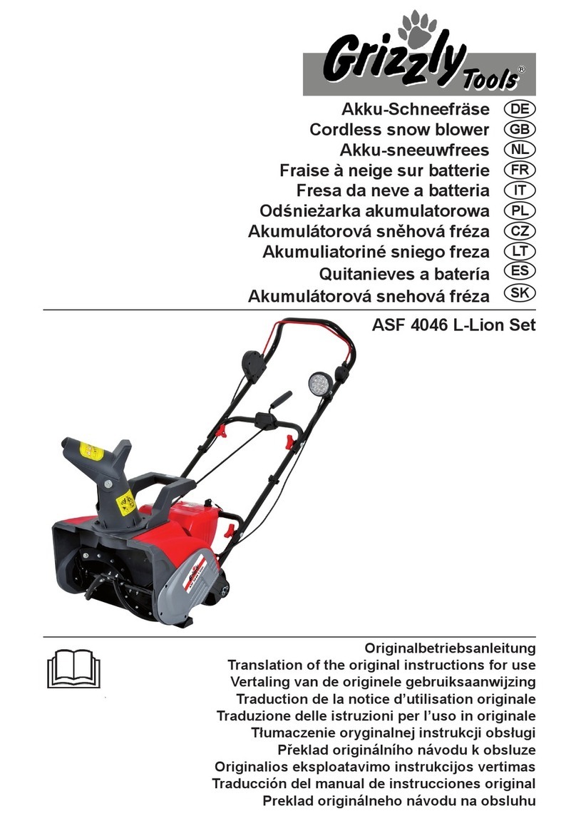 Grizzly Tools ASF 4046 L-Lion Set Translation of the original instructions for use