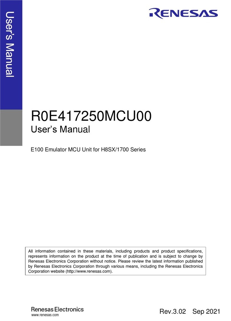 Renesas E100 user manual