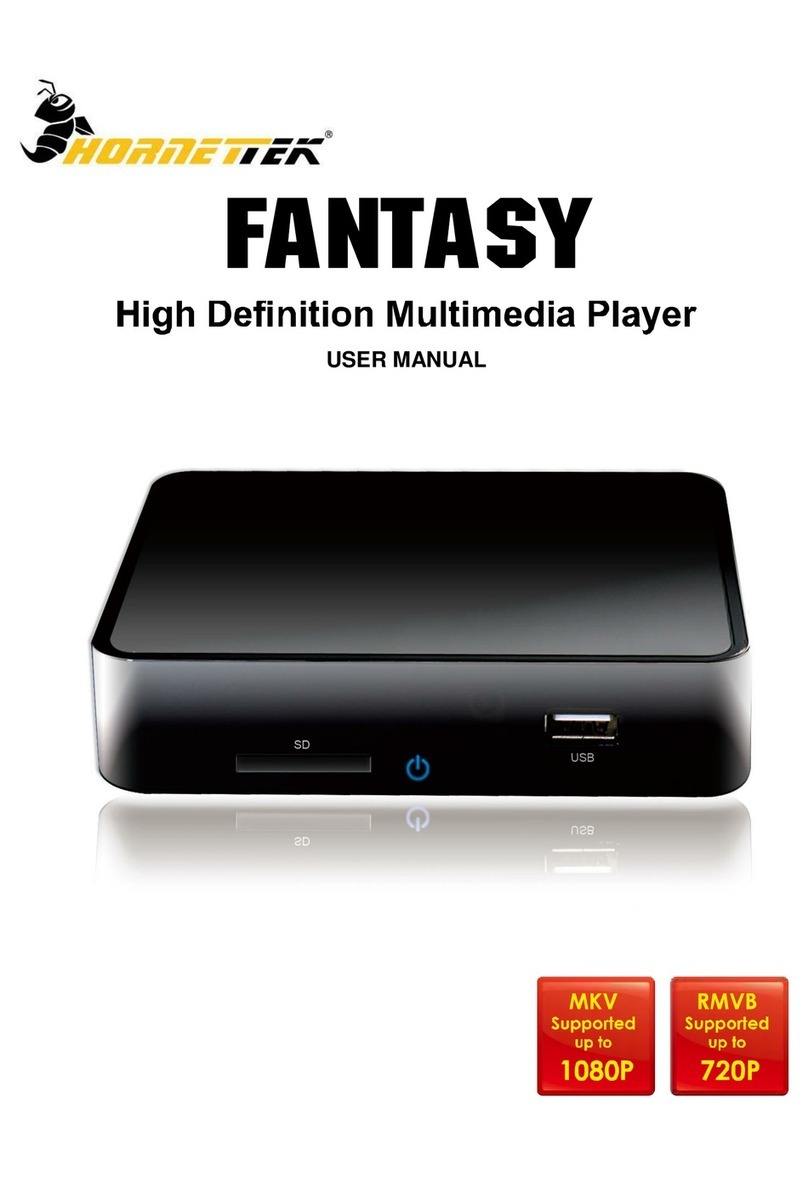 HornetTek FANTASY MP-1055 user manual