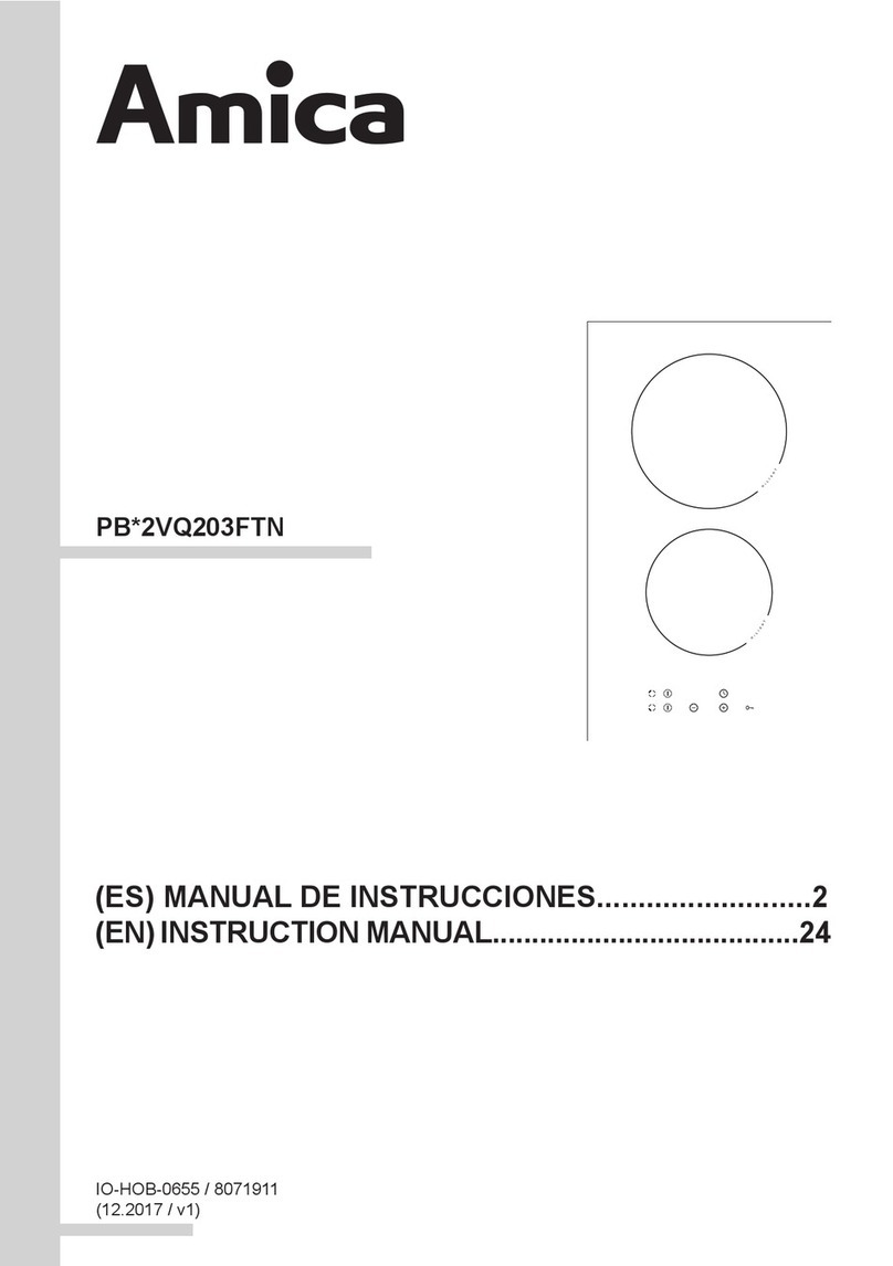 Amica PB 2VQ203FTN Series instruction manual