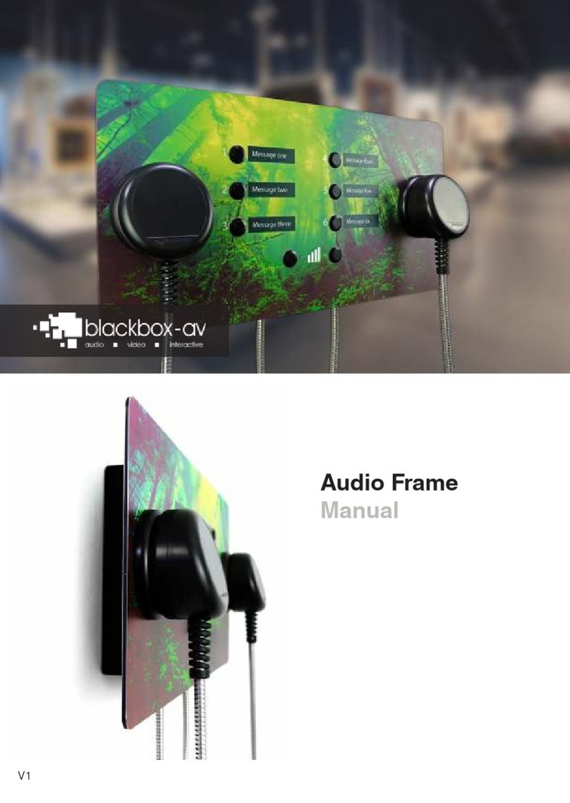 Blackboxav Audio Frame manual