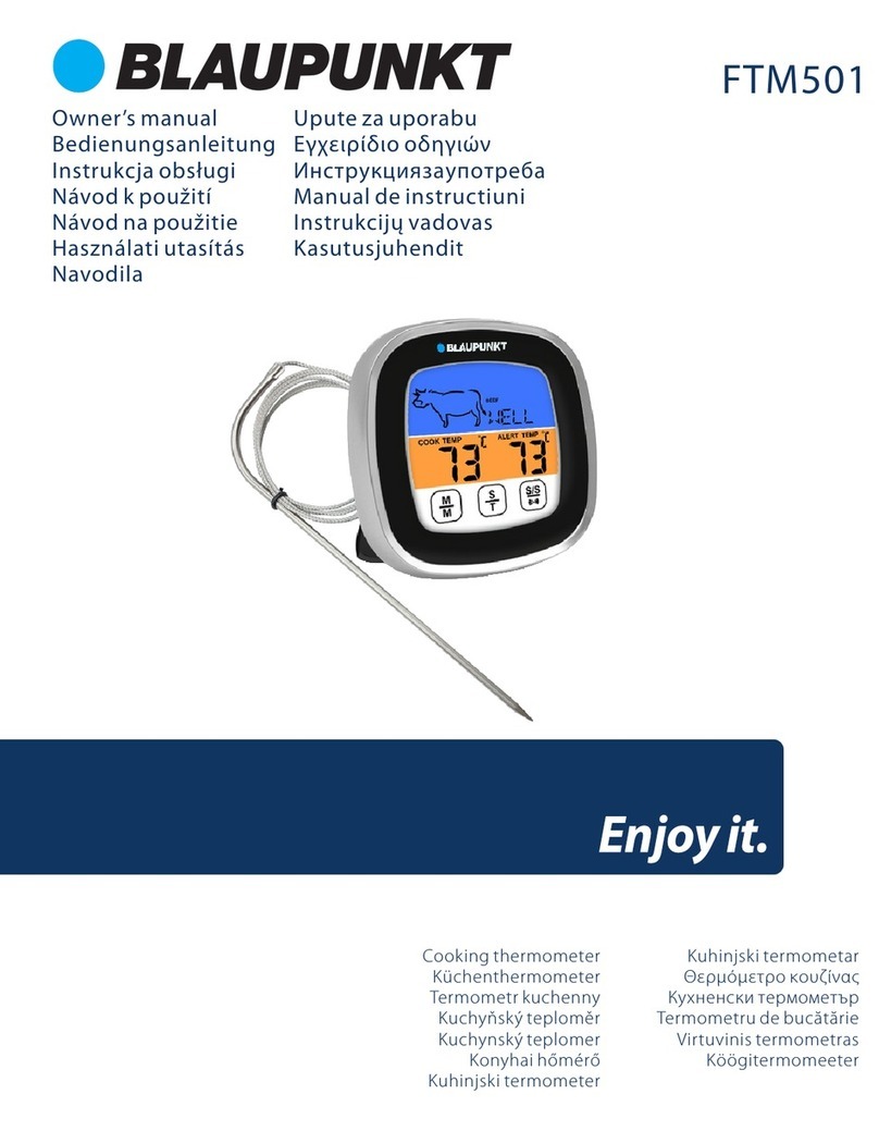 Blaupunkt FTM501 owner's manual